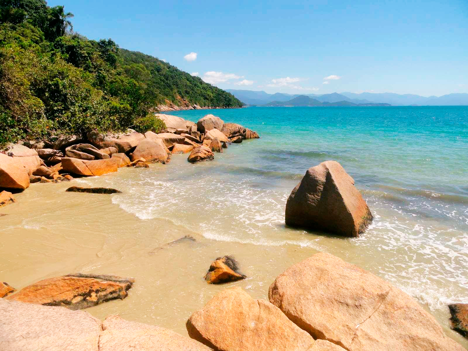 Praia das palmas